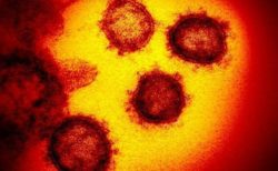 新型のコロナウイルスの潜伏期間はもっと長い？27日後に発症した男性がいた
