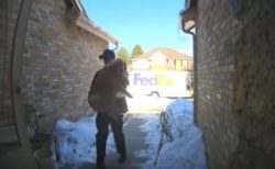 FedExの配送員が自宅に届けたのは、家から脱走したワンコだった！