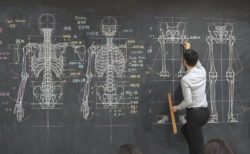 黒板に緻密な人体解剖図を描いて教える美術の先生が凄い！