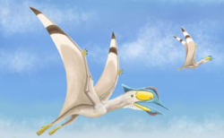 100万年前に生息した翼竜、4種の新種を発見、その特徴とは？