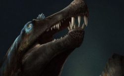 陸上の恐竜と思われてきたスピノサウルス、水中を泳いでいた可能性：デトロイト・マーシー大学