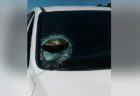 まるでマリオカート！走行中の車にカメが激突、フロントガラスに突き刺さる