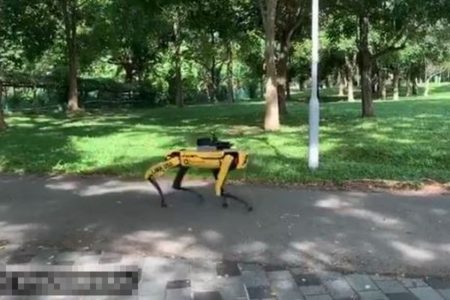 シンガポールの公園に犬型ロボットを導入、感染防止を人々に呼びかけパトロール
