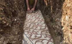 ローマ時代の美しいタイルの床、ほぼ完璧な保存状態で発掘される