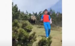 少年の背後からクマが接近、イタリアで撮影された動画にドキドキ