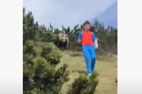 少年の背後からクマが接近、イタリアで撮影された動画にドキドキ