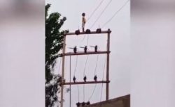 まさか！インドで5歳の少年が高さ7mの電柱に立っている姿が目撃される