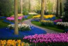 ロックダウンで観光客が消えた「世界一美しい花園」の風景