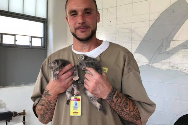 米刑務所で広がるペットの癒し効果、捨てられたネコを優しく世話する受刑者たち