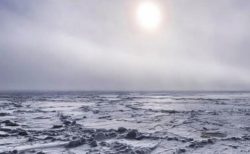 気候変動で北極圏の氷から眠っていた微生物が復活、人類の脅威になる可能性あり