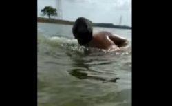 【驚愕動画】インドの湖で泳いでいた男性、突然ワニに襲われ水中に引き込まれていく