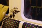 バンクシーが地下鉄の車内に新作を描く、作業風景の動画を公開