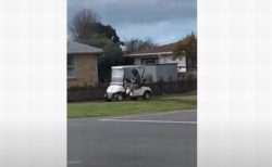超スロ～なカーチェイス、NZでパトカーがゴルフカートを追跡