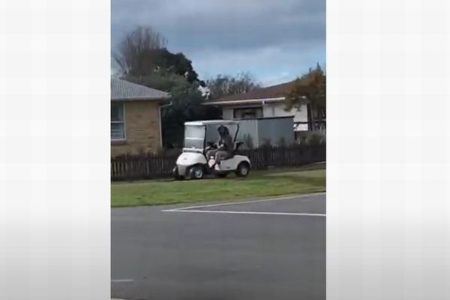 超スロ～なカーチェイス、NZでパトカーがゴルフカートを追跡