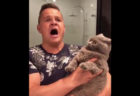シャーと威嚇した猫に飼い主がオペラで対決、反応が可笑しくて180万回視聴【動画】