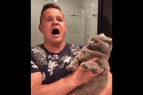 シャーと威嚇した猫に飼い主がオペラで対決、反応が可笑しくて180万回視聴【動画】