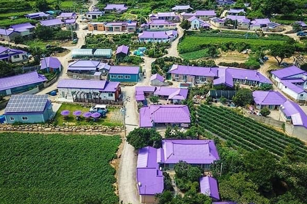 インスタ映えする韓国の新リゾートは、紫だらけの島