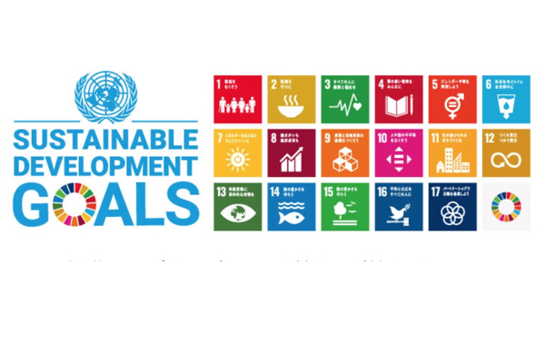 パキスタンがCO2に関する国連の「持続可能な開発目標」を10年早く達成