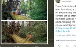 山中に仕掛けたカメラに写っていた意外な生物の正体は？