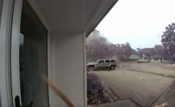女性が家から出た瞬間、雷が木を直撃、無数の破片が飛んでくる動画が恐ろしい