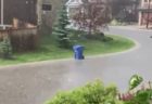 ゴミ箱が逃げていく？！嵐の最中、勝手に移動していく動画が面白い