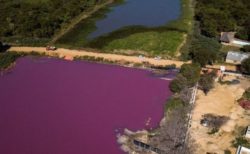 何故か湖の半分だけが紫色に染まる、魚や鳥も大量に死亡【パラグアイ】