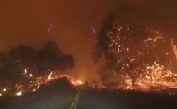 山火事、熱波、新型コロナ…カリフォルニア州の人々が置かれた状況とは？