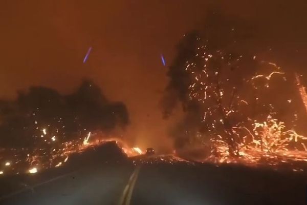 山火事、熱波、新型コロナ…カリフォルニア州の人々が置かれた状況とは？