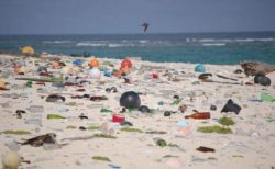 マイクロプラスチックは予想より10倍以上も海に流れていた可能性：英国立海洋学センター