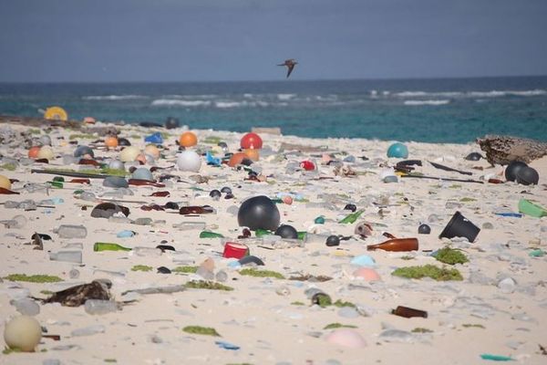 マイクロプラスチックは予想より10倍以上も海に流れていた可能性：英国立海洋学センター