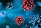 オックスフォード大の新型コロナ・ワクチン、高齢者にも強い免疫反応を確認