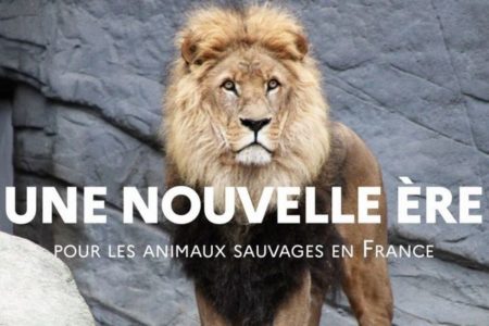 フランス政府がサーカスやマリンパークでの野生動物の利用・飼育を段階的に禁止へ