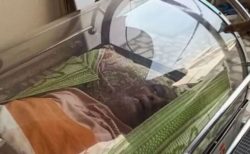 インドで冷凍保存用の棺から生きた男性を救出、警察は事件として捜査