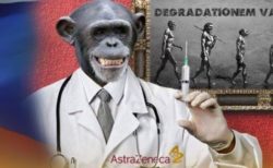 「英の新型コロナ・ワクチンを打つと猿になる」ロシアでフェイクニュースが広まる