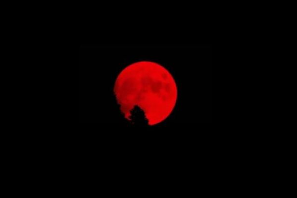 カリフォルニア州上空に赤い満月、山火事の煙により奇怪な色に染まる