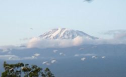 キリマンジャロで山火事が発生、消防士やボランティアも消火活動に参加