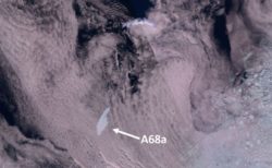 南極から切り離された巨大氷山、南大西洋の島へ接近中