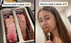 トースターでステーキを焼く女性に、TikTokユーザー困惑