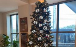 クリスマスツリーに受刑者の顔写真を飾りSNSに投稿、米保安官事務所が炎上