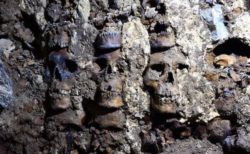 アステカ時代の「スカル・タワー」周辺で新たな頭蓋骨、119個を発見【メキシコ】