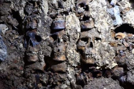 アステカ時代の「スカル・タワー」周辺で新たな頭蓋骨、119個を発見【メキシコ】