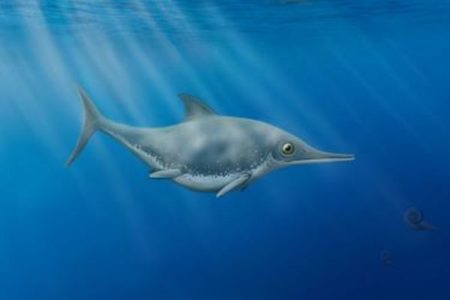 英の海岸でアマチュアが化石を発見、「イクチオサウルス」の新種と判明