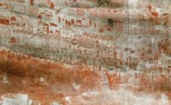 アマゾンの森の奥から数万点の岩絵を発見、氷河期時代の動物が描かれる