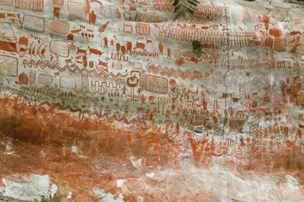 アマゾンの森の奥から数万点の岩絵を発見、氷河期時代の動物が描かれる