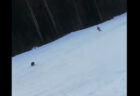 スキー場にクマ出現、猛スピードで追いかけられたスキーヤーは逃げ切れたか？