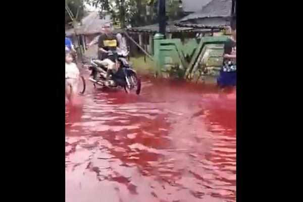 インドネシアの村で洪水、工場から染料が流れ赤い水で覆われる