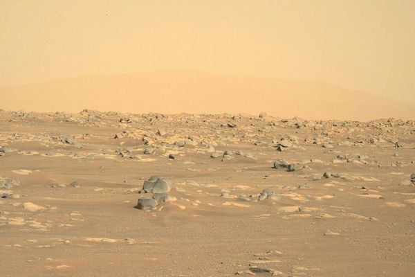 火星の水はどこへ消えたのか？地殻の鉱物に組み込まれている可能性