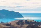 ニュージーランドでM8.1の地震、東海岸で津波も発生【動画】