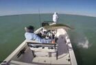 巨大な魚がジャンプして船を飛び越えていく、乗っていた男性もびっくり【動画】