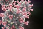 新型コロナの感染を制御している遺伝子を発見：米研究